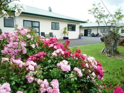 Coromandel Court Motel Exterior photo